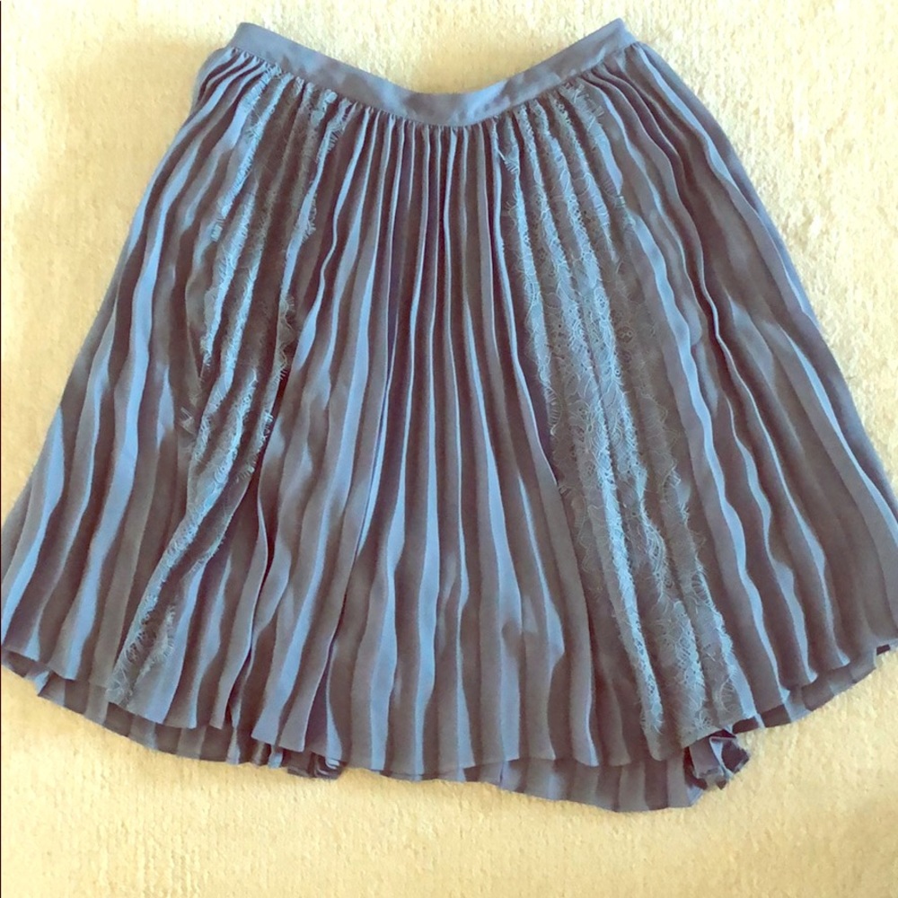 NWT- A-line pleated skirt